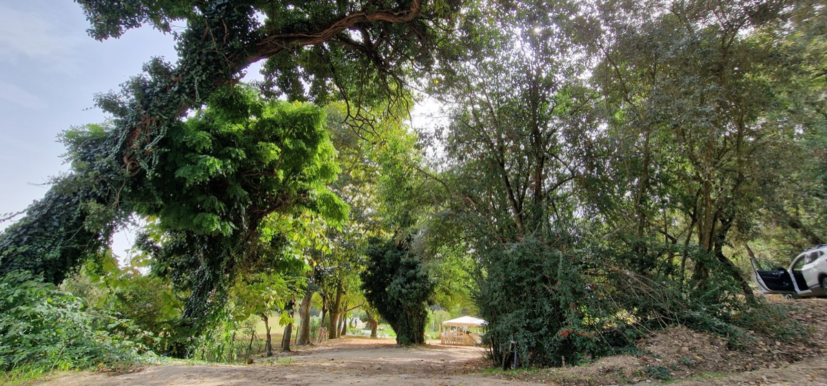 White Fountain Eco Park grounds, lawns and pool in Rio Maior