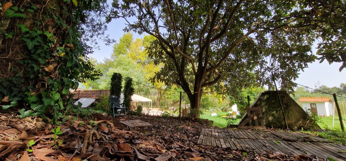 White Fountain Eco Park grounds, lawns and pool in Rio Maior