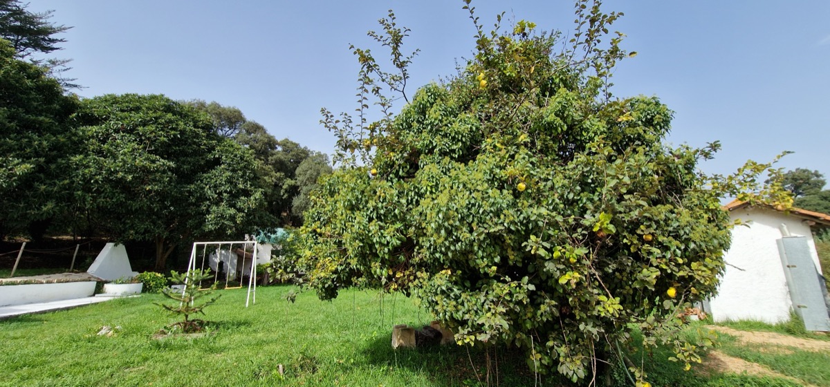 White Fountain Eco Park grounds, lawns and pool in Rio Maior