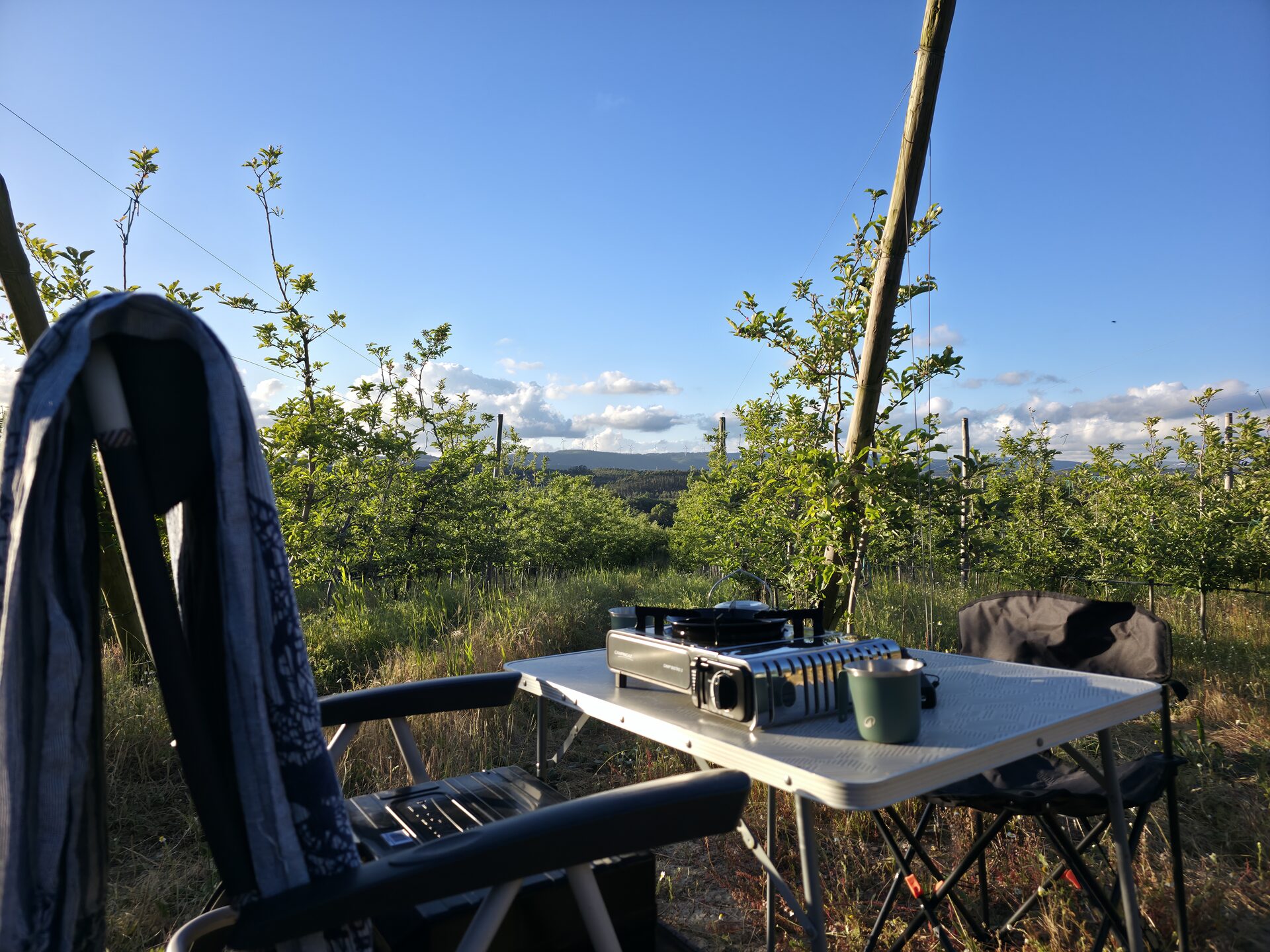 Camp table with stove and chairs looking out over the orchard and hills
