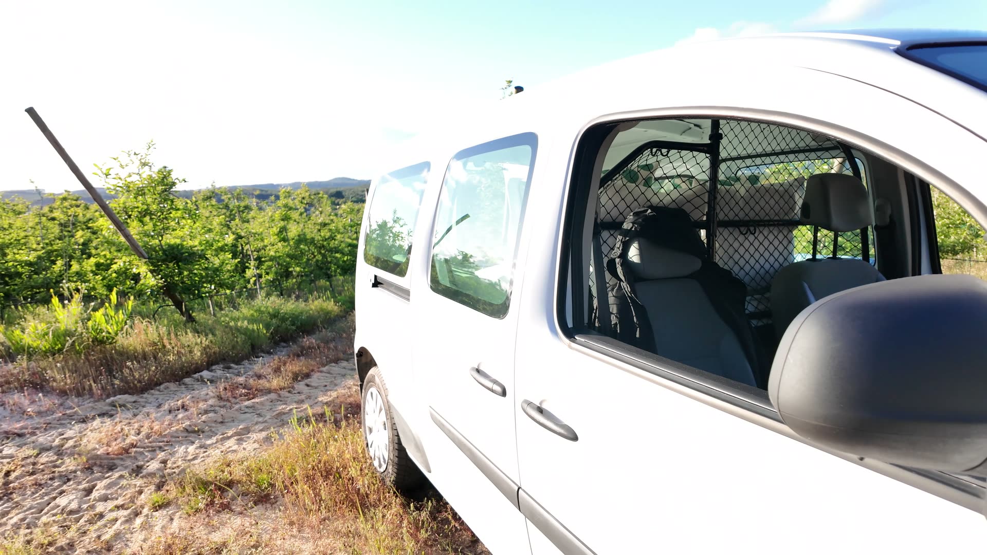 The van parked among orchard rows under a wide blue sky