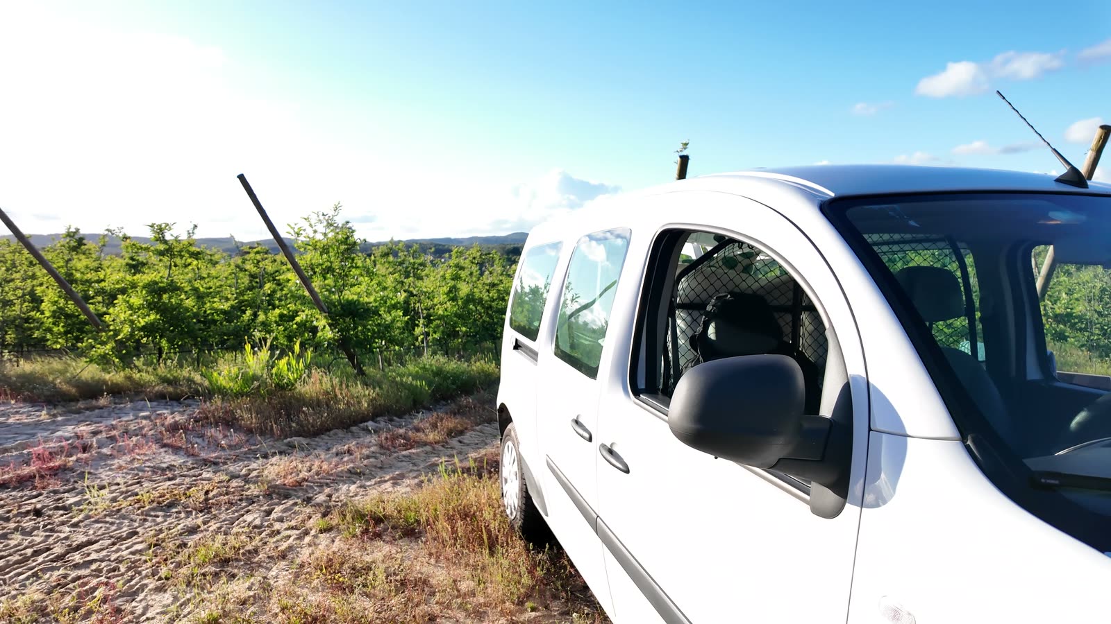 Side view of the van framed by trees and orchard